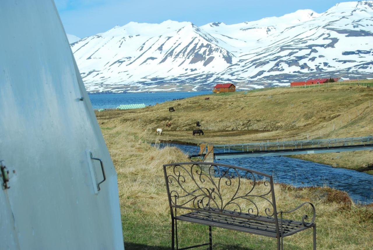 Sky Sighting Igluhus - Stay'In Arbakki Arskogssandur Exterior foto