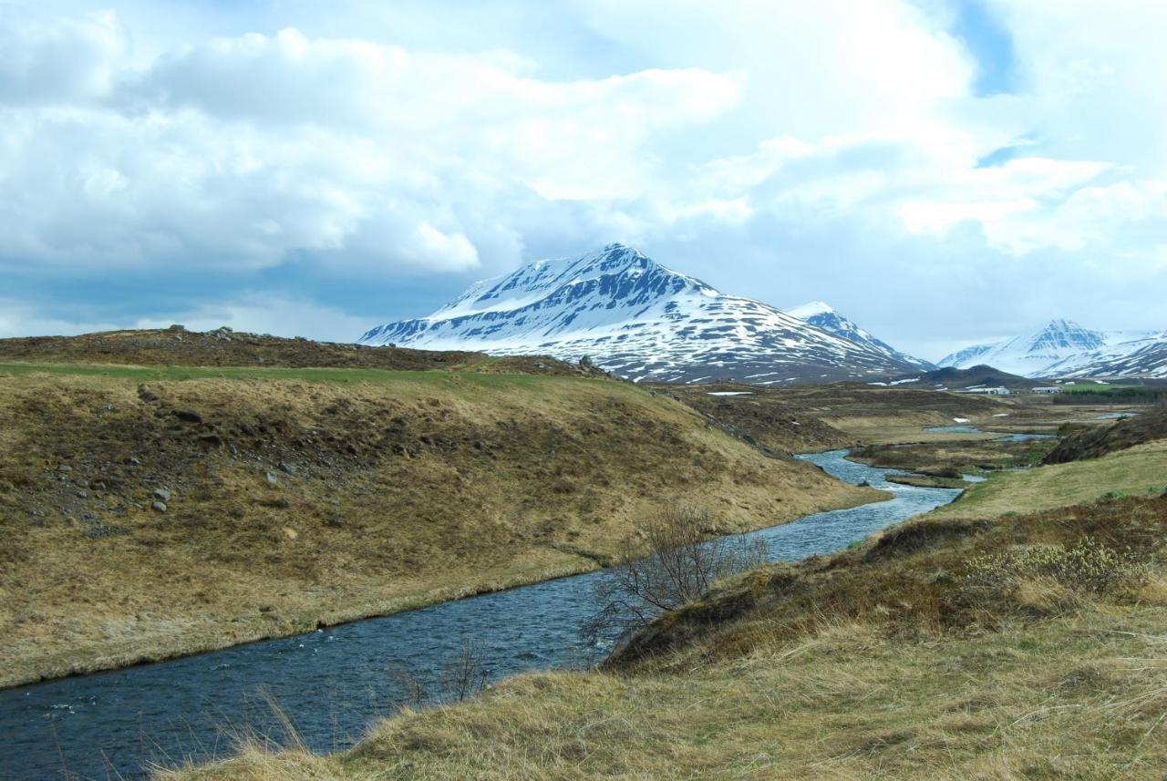 Sky Sighting Igluhus - Stay'In Arbakki Arskogssandur Exterior foto