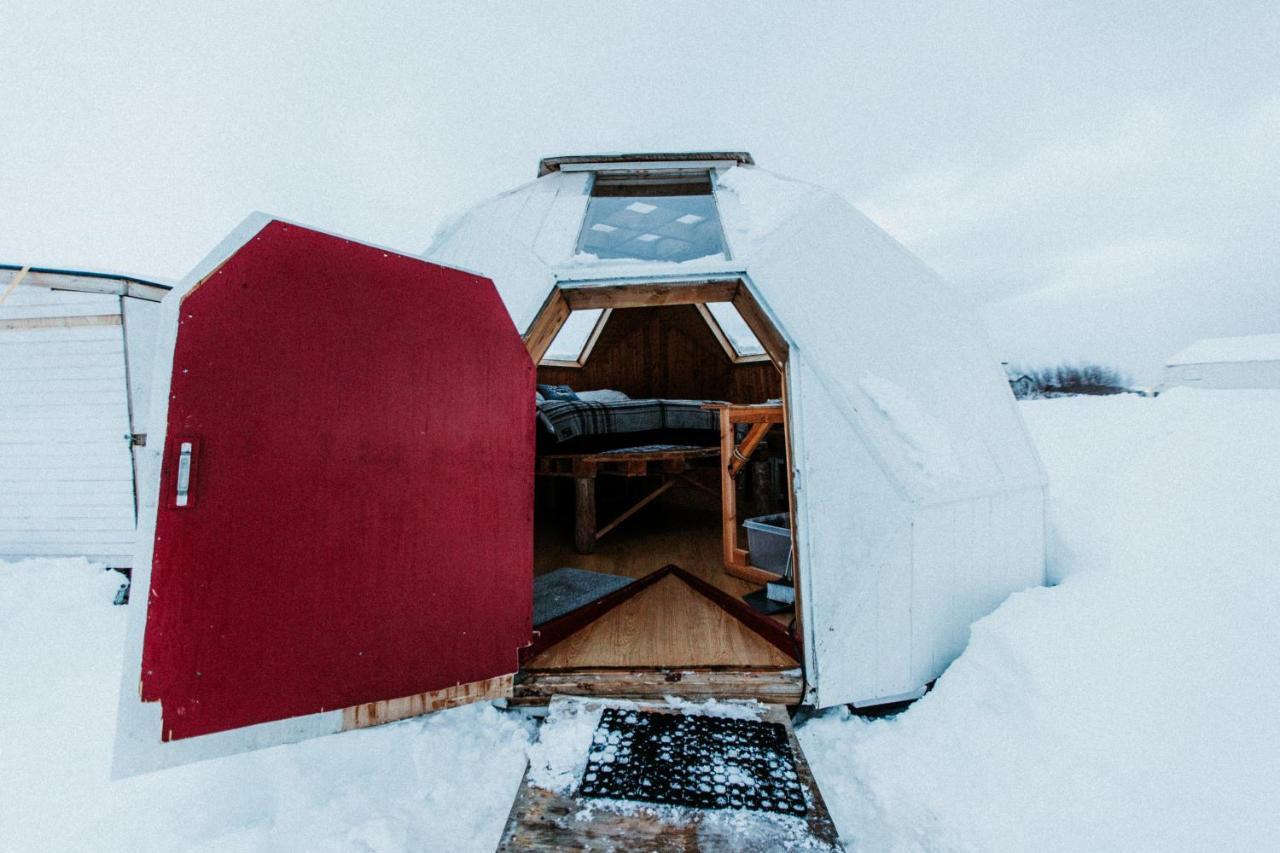 Sky Sighting Igluhus - Stay'In Arbakki Arskogssandur Exterior foto